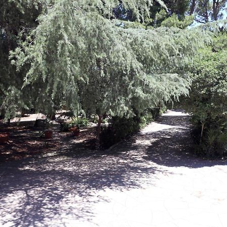 B&B Villa Pallante Bari Zewnętrze zdjęcie