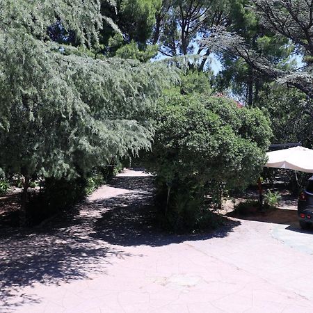 B&B Villa Pallante Bari Zewnętrze zdjęcie
